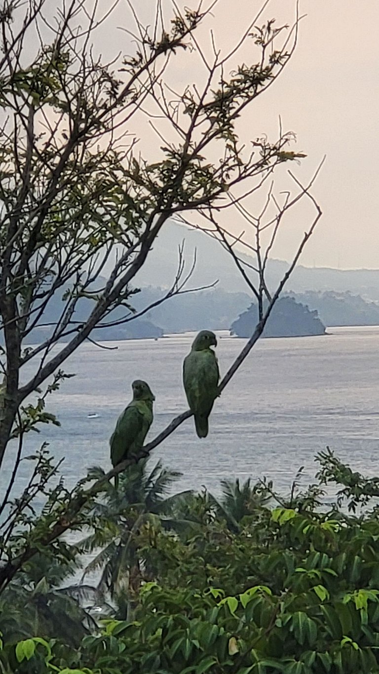 Suíte 01 - Piso Superior com Vista Mar e Montanha